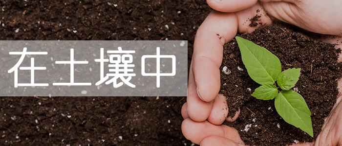 土壤科學_綠康有機肥